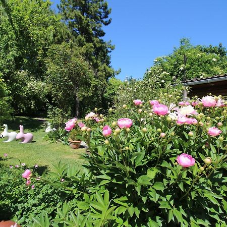 La Chaumiere Du Tordoir Bed and Breakfast Les Rues-des-Vignes Eksteriør billede